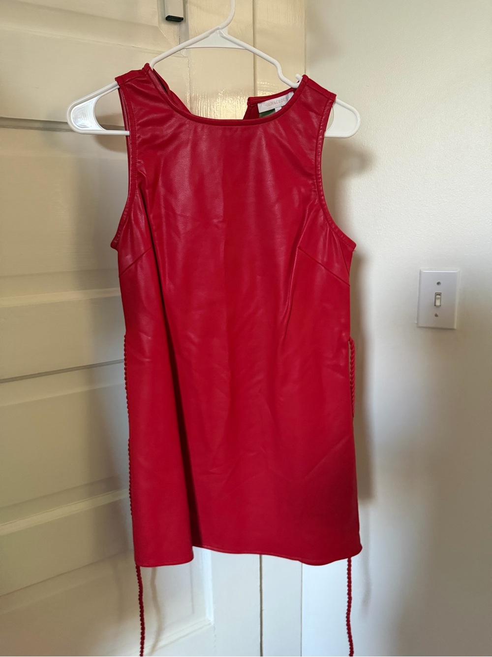 Olivaceous Red Sleeveless Faux Leather Mini Dress